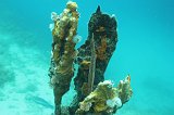Curacao 04-12 092